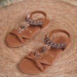 Brown Sandal (4)