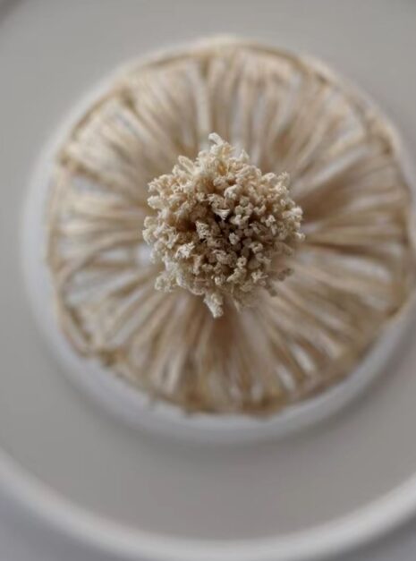 lustre macrame 4 lustre macrame 4